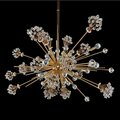 Kalco Allegri Constellation 46 Light Oval Pendant 11636-018-FR001